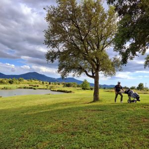 20cc7330-16ea-42dc-8908-ca5d4e5959d7