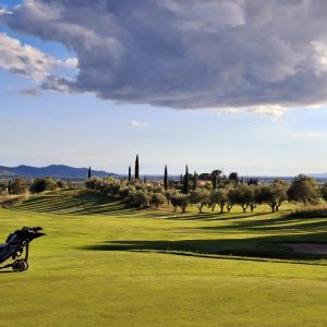 308f47d8-bca8-433b-b5f2-8af84386f1a3