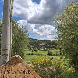 4c88cea1-9d79-498e-8dc8-7634207e8090