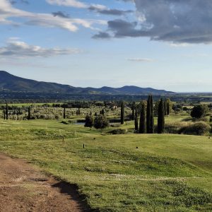 9249d8ff-ea55-4733-a8dc-cffb3625f3ac