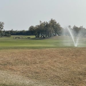 Albarella Golf Links 4