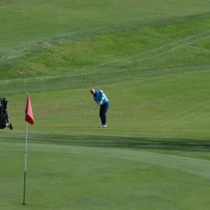 DSC_0011 - dimensioni medie