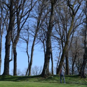 DSC_0034 - dimensioni medie