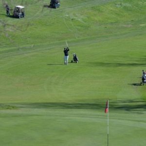 DSC_0053 - dimensioni medie