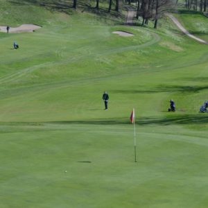 DSC_0060 - dimensioni medie