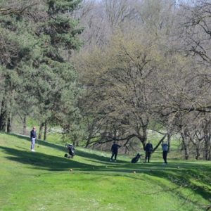 DSC_0069 - dimensioni medie