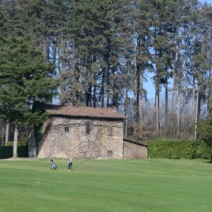 DSC_0127 - dimensioni medie