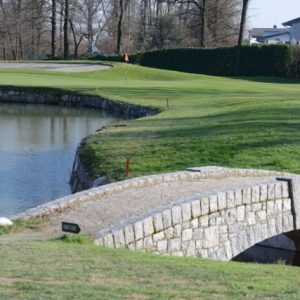 DSC_0163 - dimensioni medie