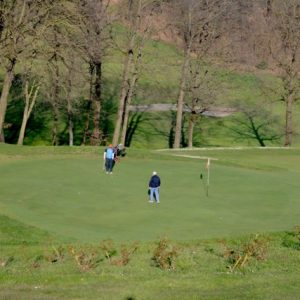 DSC_0176 - dimensioni medie