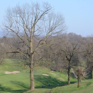 DSC_0177 - dimensioni medie