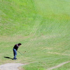 DSC_9971 - dimensioni medie