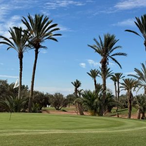 Golf Assouifid copia