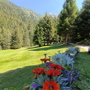 Golf Ponte di Legno 2