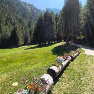 Golf Ponte di Legno 3