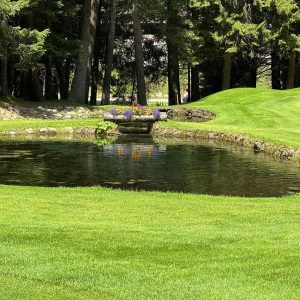 Golf Ponte di Legno 5