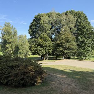 IMG_8917