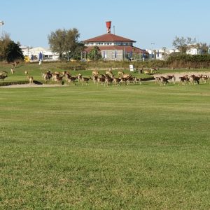 PHOTO-2025-10-04-16-52-14 2