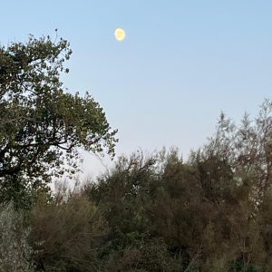 PHOTO-2025-10-05-08-16-11