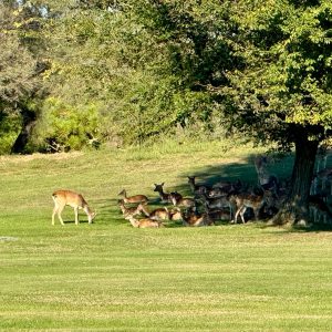 PHOTO-2025-10-05-08-37-02