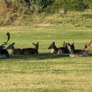 PHOTO-2025-10-05-08-37-03