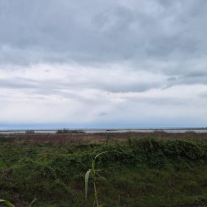 PHOTO-2026-03-27-13-13-16