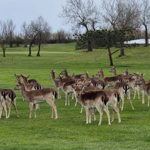 PHOTO-2026-03-27-13-13-17 3