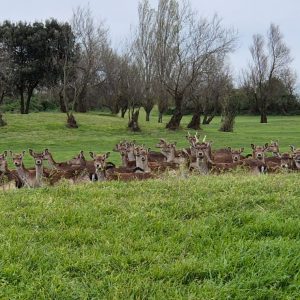 PHOTO-2026-03-27-13-13-18