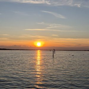 PHOTO-2026-03-28-18-31-32 2