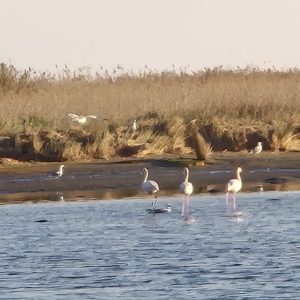 PHOTO-2026-03-28-18-31-32 5