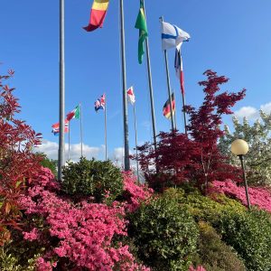 PHOTO-2026-04-14-20-29-19