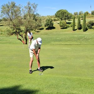 a43cbce4-3b56-4cc4-a8cb-dd1d7857fe26