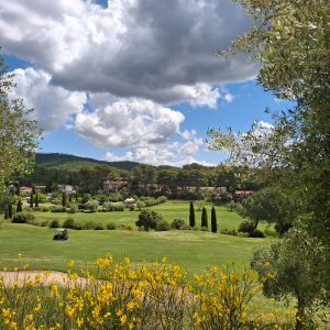 cf5f1570-a8f5-404e-afee-b92172454b19