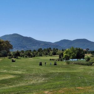 ddbc0113-6880-4c53-ab32-f43c185c7239