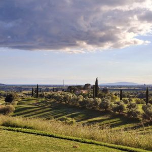 ed97d00f-6d97-43cd-ba47-0c2c7dfc3674