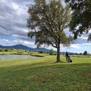 ee2a519a-3878-466c-80fd-f028710625fd